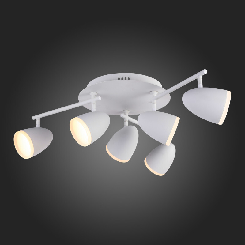 Накладной светильник ST Luce SL387.501.06