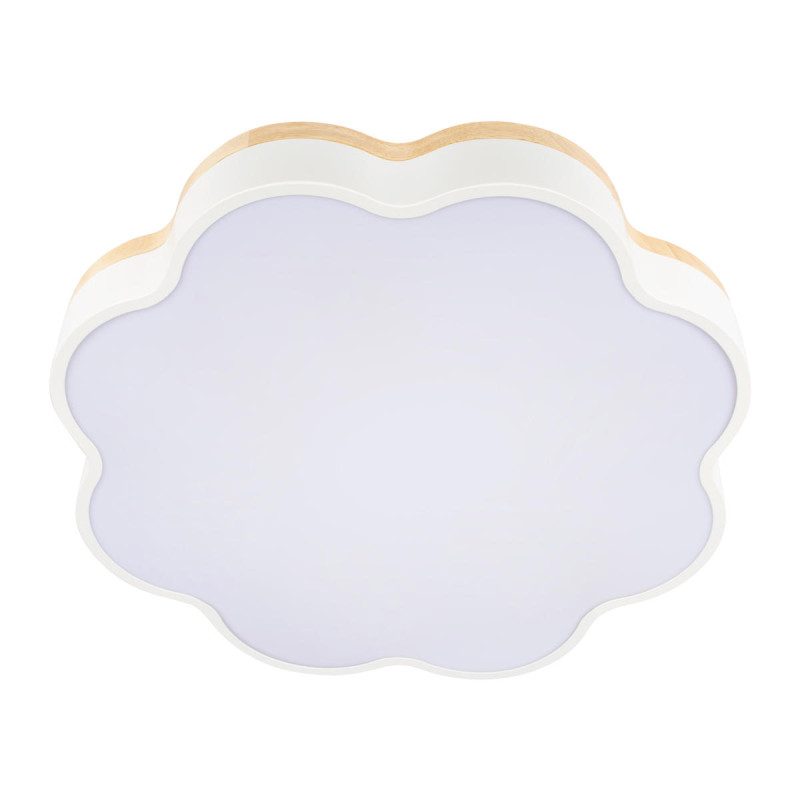 Накладной светильник LOFT IT 10225/36 White