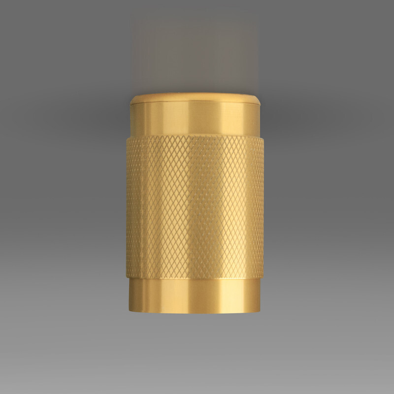 Накладной светильник Elektrostandard DLN109 GU10 золото