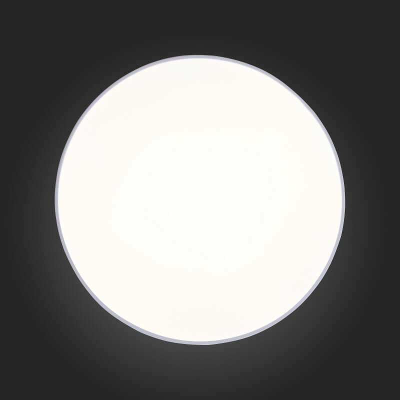 Накладной светильник ST Luce SL417.502.01