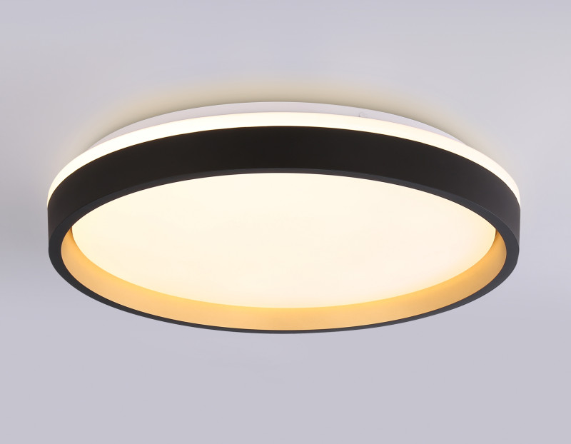 Накладной светильник Ambrella Light FZ610