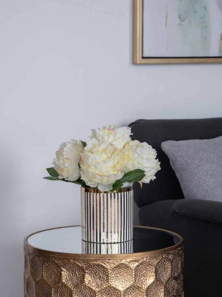 Растение декоративное Пион Glasar F4465-CREA