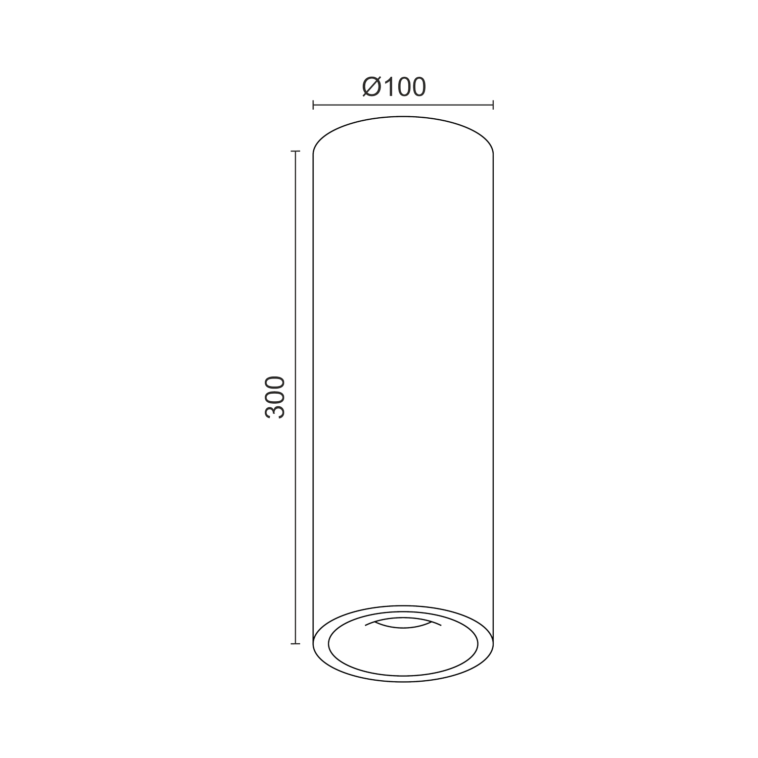 Накладной светильникпод  сменную лампу Ledron MJ1027 White 300