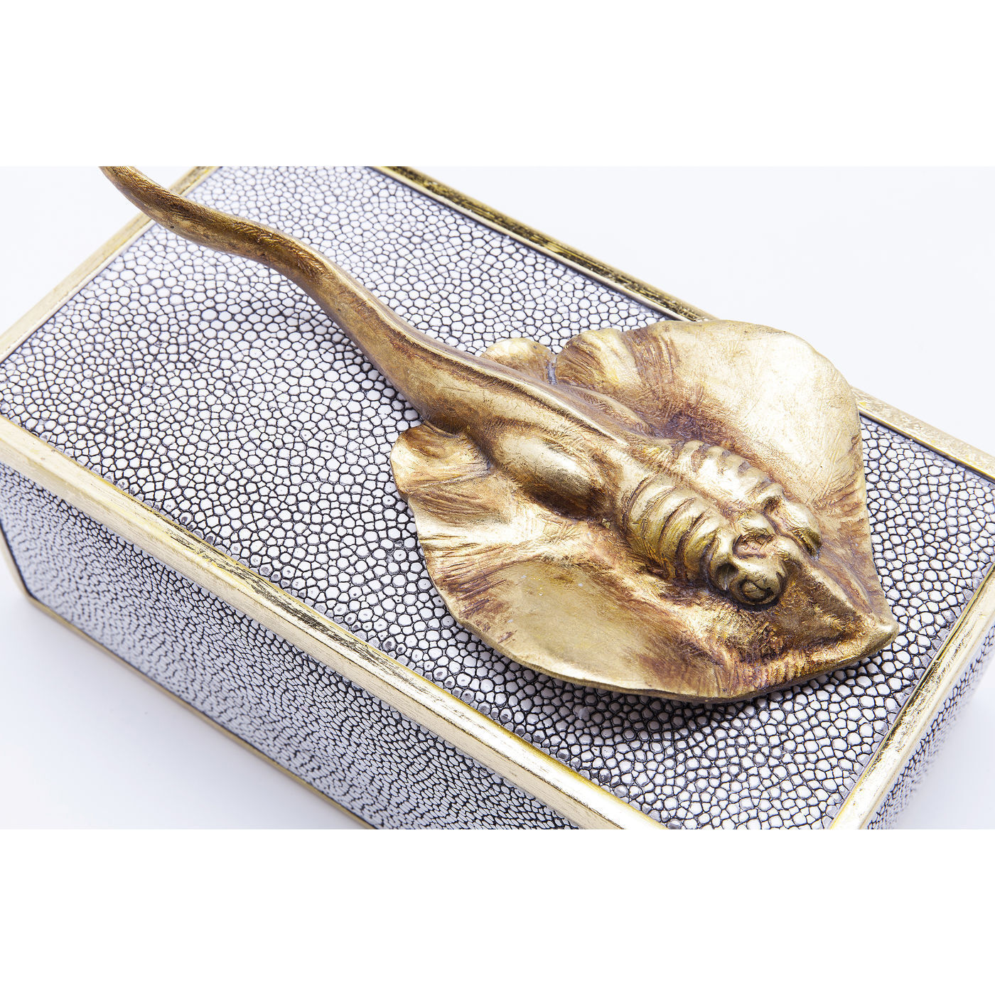 Шкатулка Skate 61628 KARE