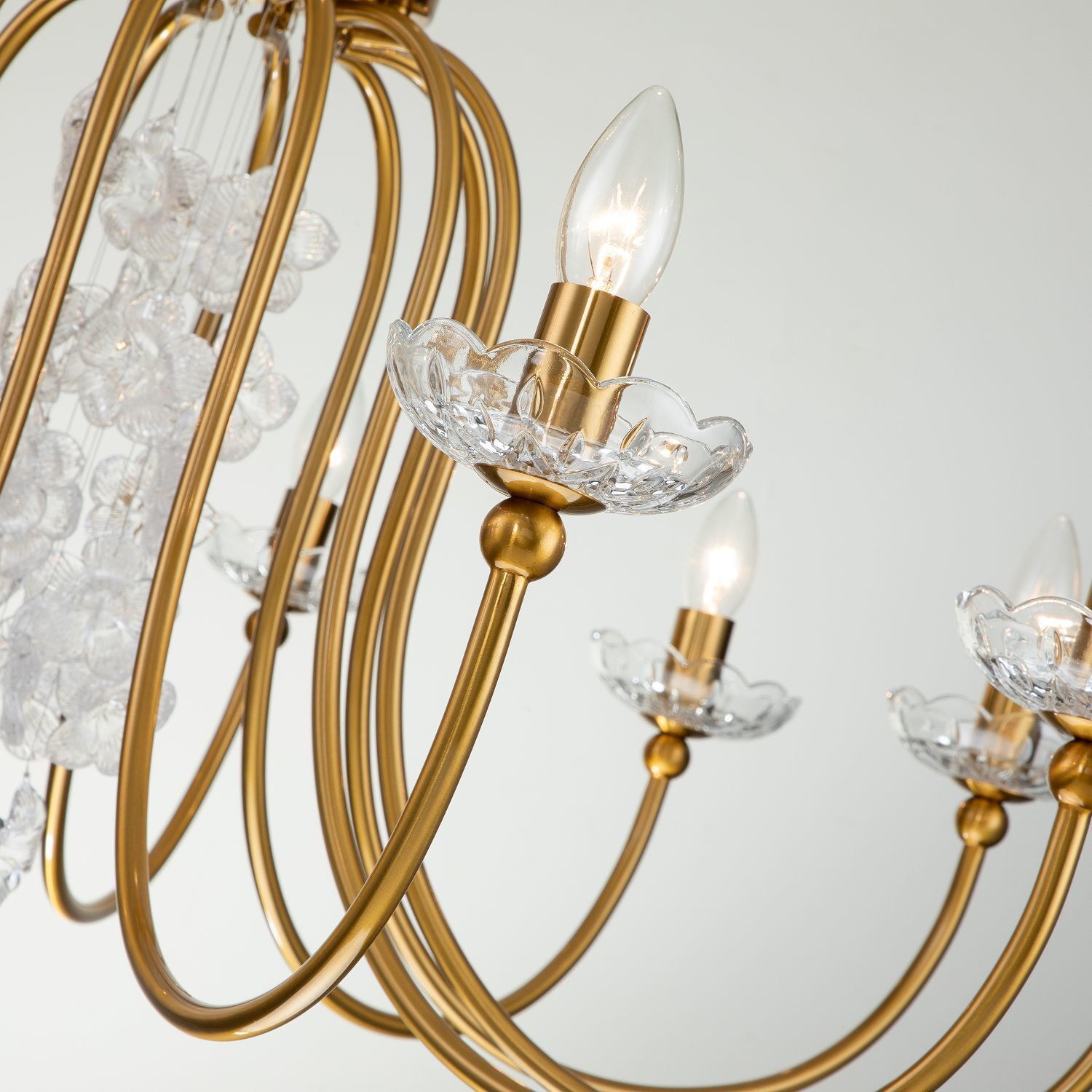 Люстра Favourite 2871-12P