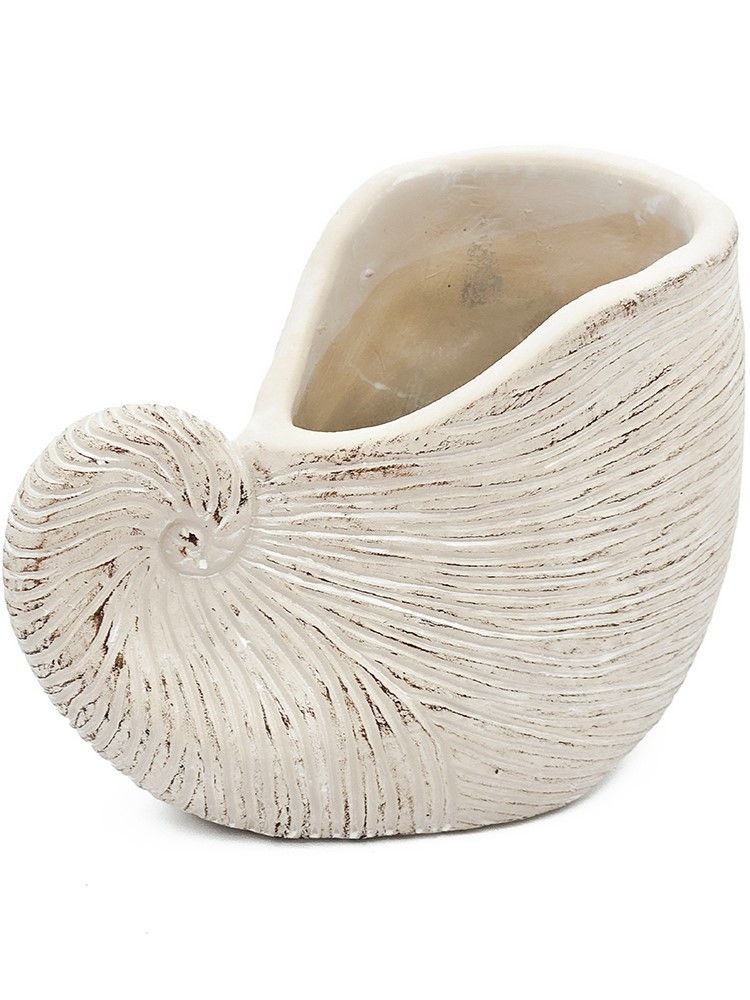 Кашпо Ракушка Glasar C5473