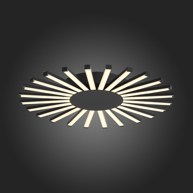 Накладная люстра ST Luce SL839.412.24