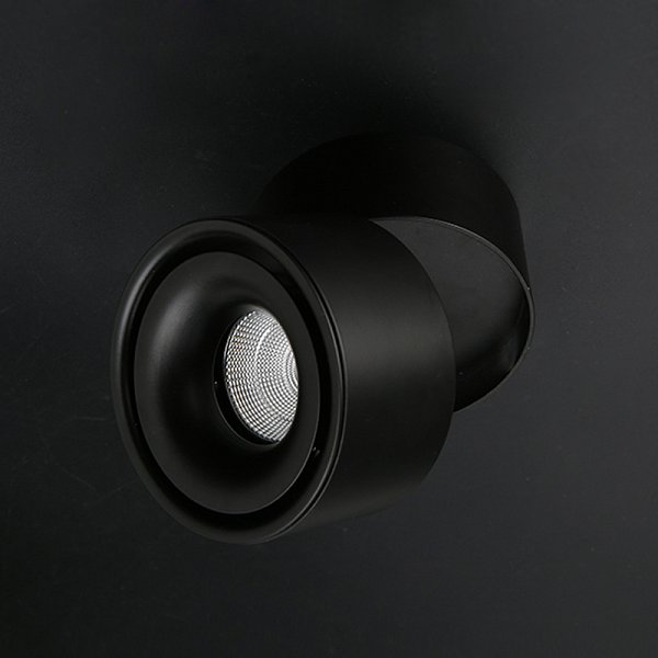 Потолочный светильник AGENDA Black 7W by ImperiumLoft