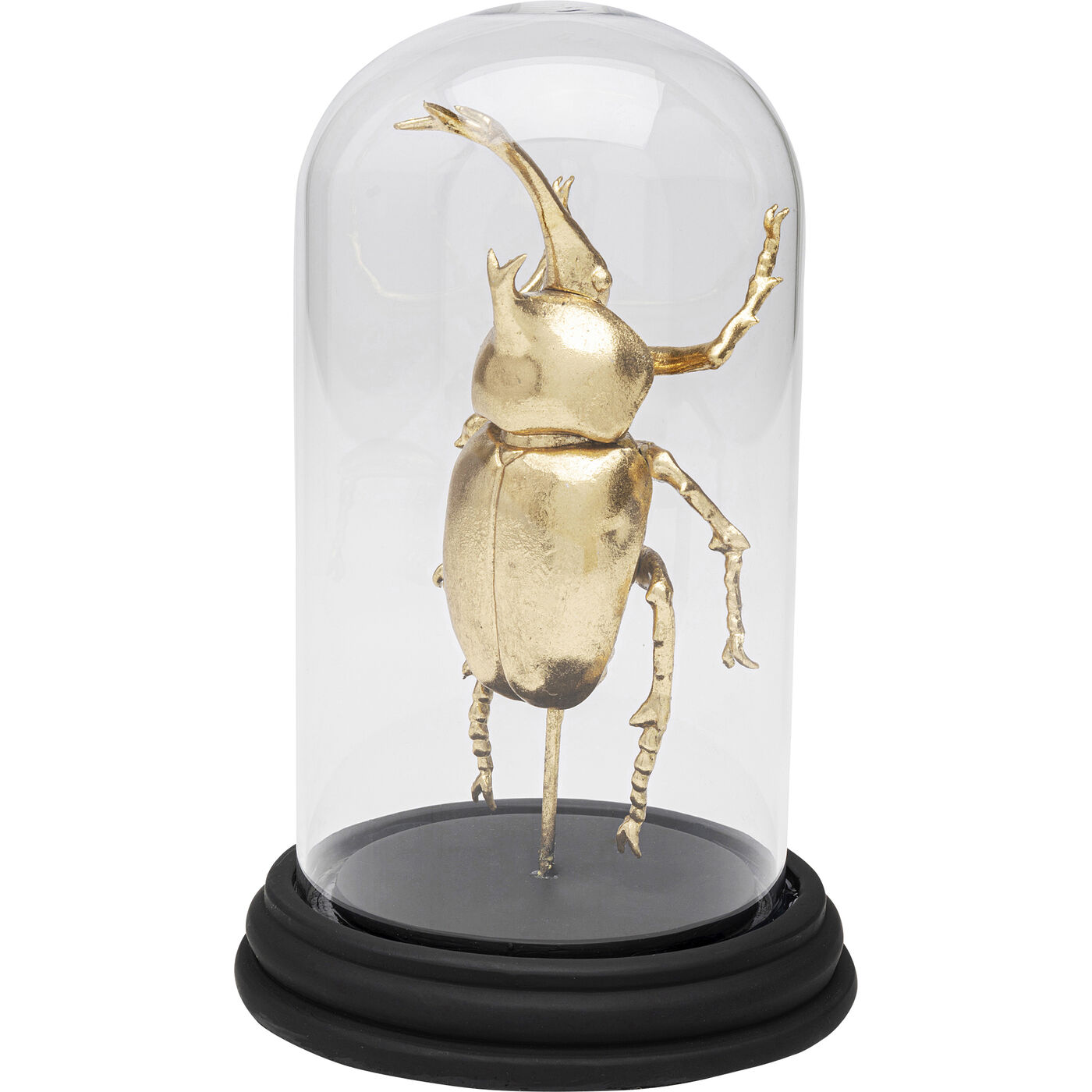 Объект декоративный Bell Jar Stag Beetle 20cm KARE 57719