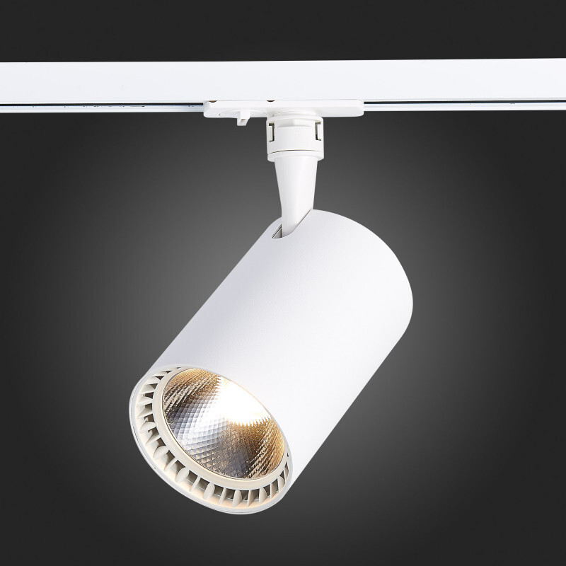 Светильник на шине ST Luce ST351.546.30.36