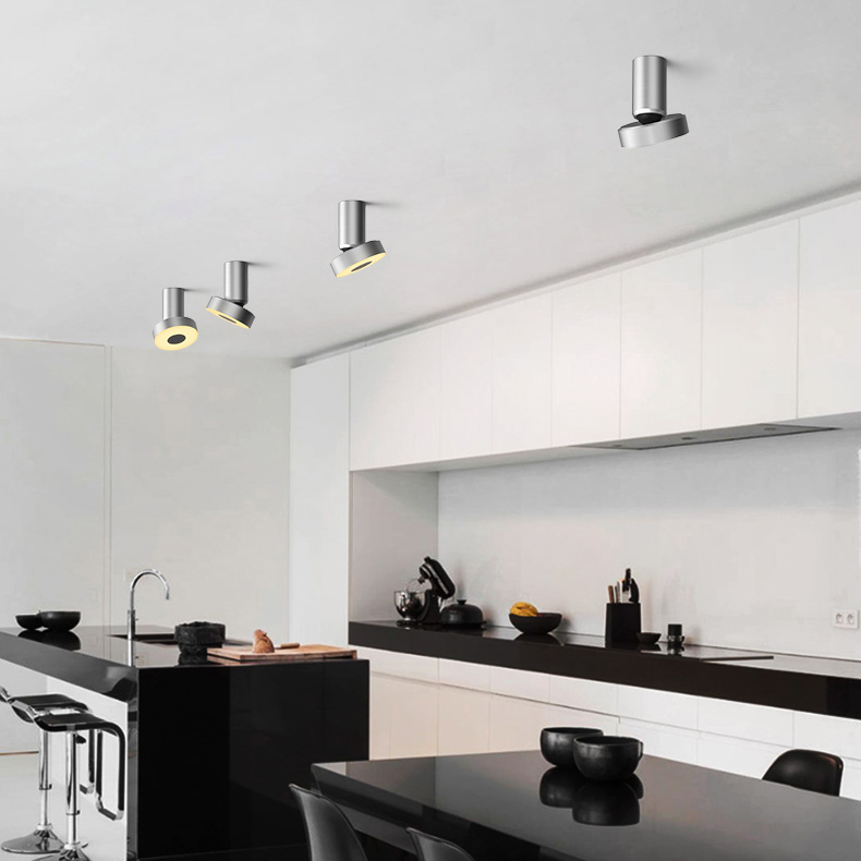 Потолочный точечный светильник STIR Silver by ImperiumLoft