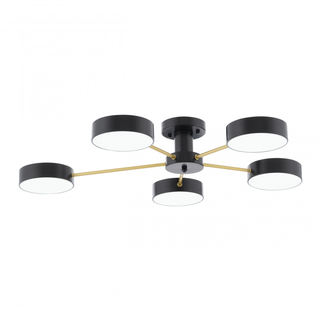 Светильник светодиодный 252006/5 Bk/Bk Arte Milano