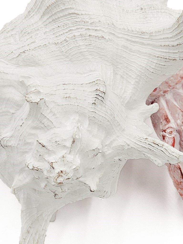 Фигурка Рак-отшельник Glasar C5470-WTRD