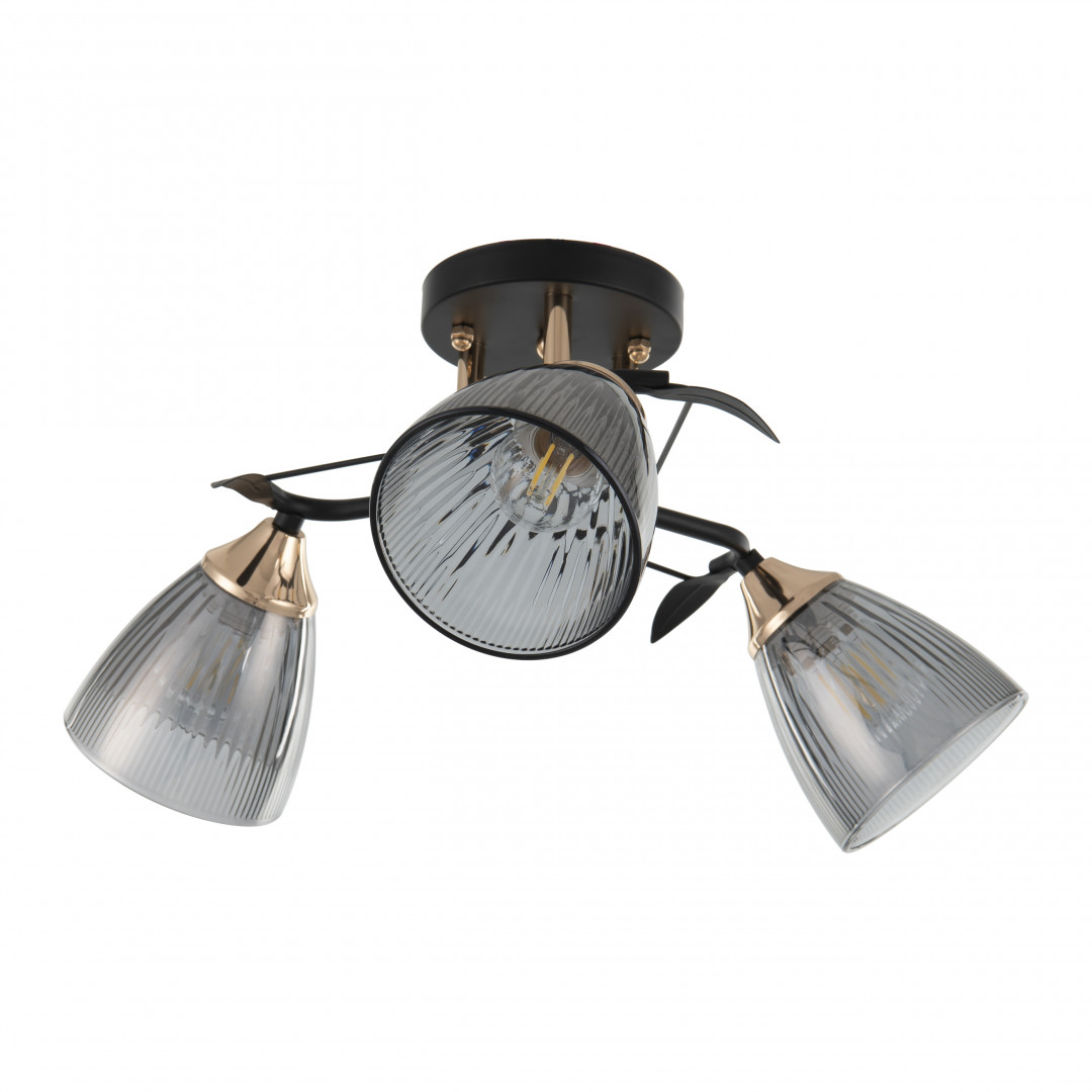 Люстра с плафонами 322610/3 BK+FG Arte Milano