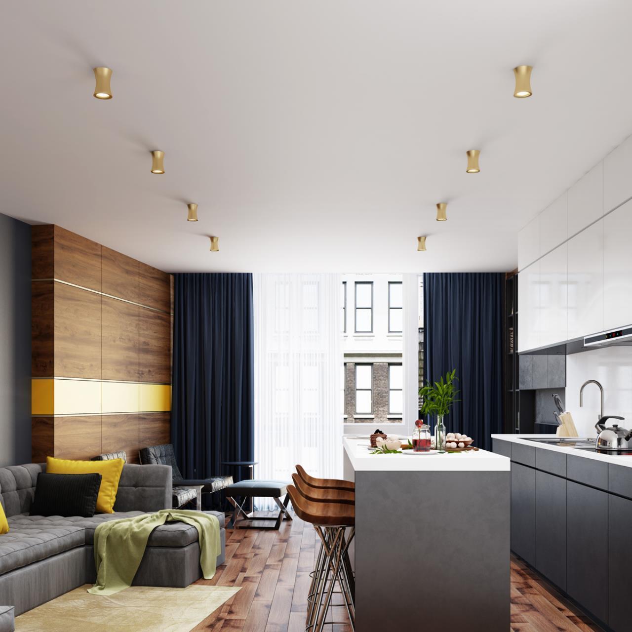 Потолочный накладной светильник Odeon Light 4226/1C