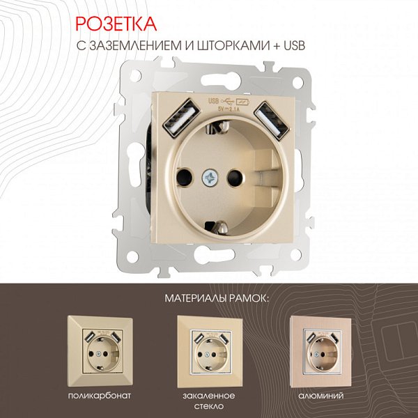 Розетка Arte Milano 203.47-1.shampan