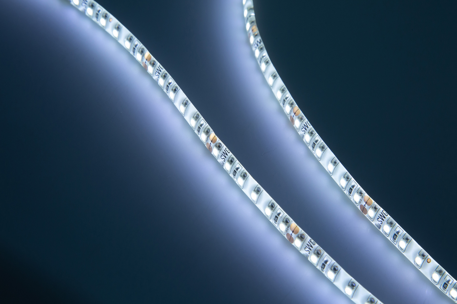 Лента светодиодная SWG SWG3120-24-9.6-W-65-M