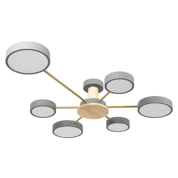 Накладной светильник LOFT IT 10316/6 Grey