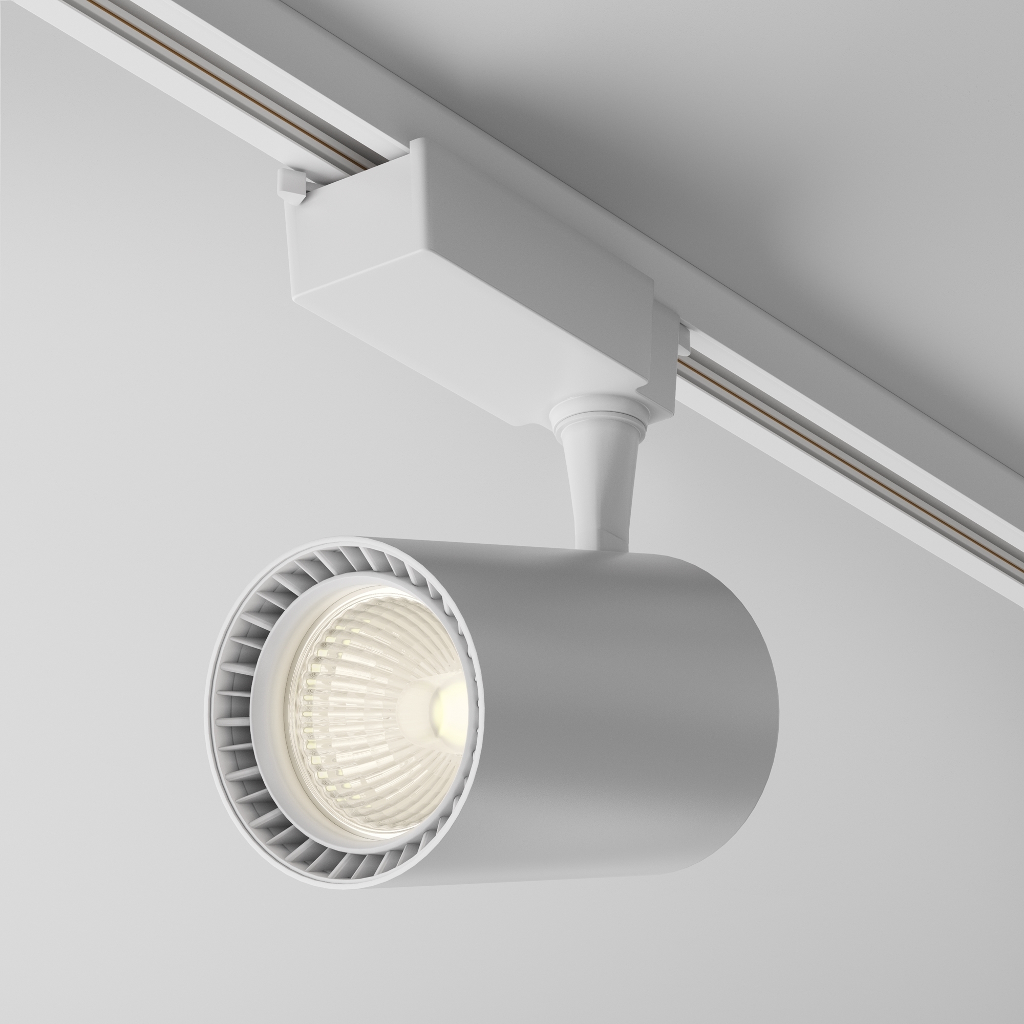 Трековый светильник Maytoni TR003-1-15W3K-M-W