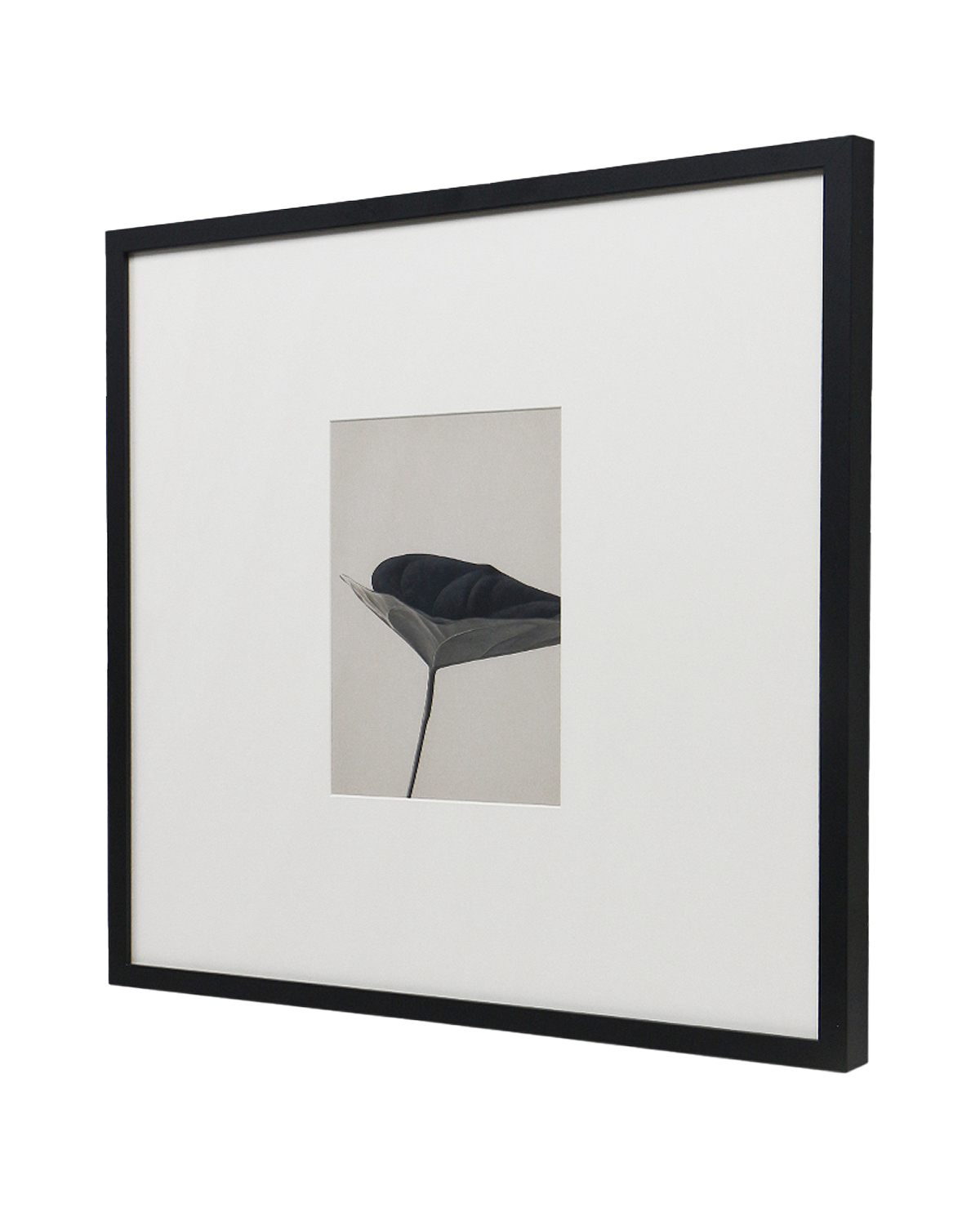 Интерьерный постер Floral - I Louvre Home DPP220924VHS