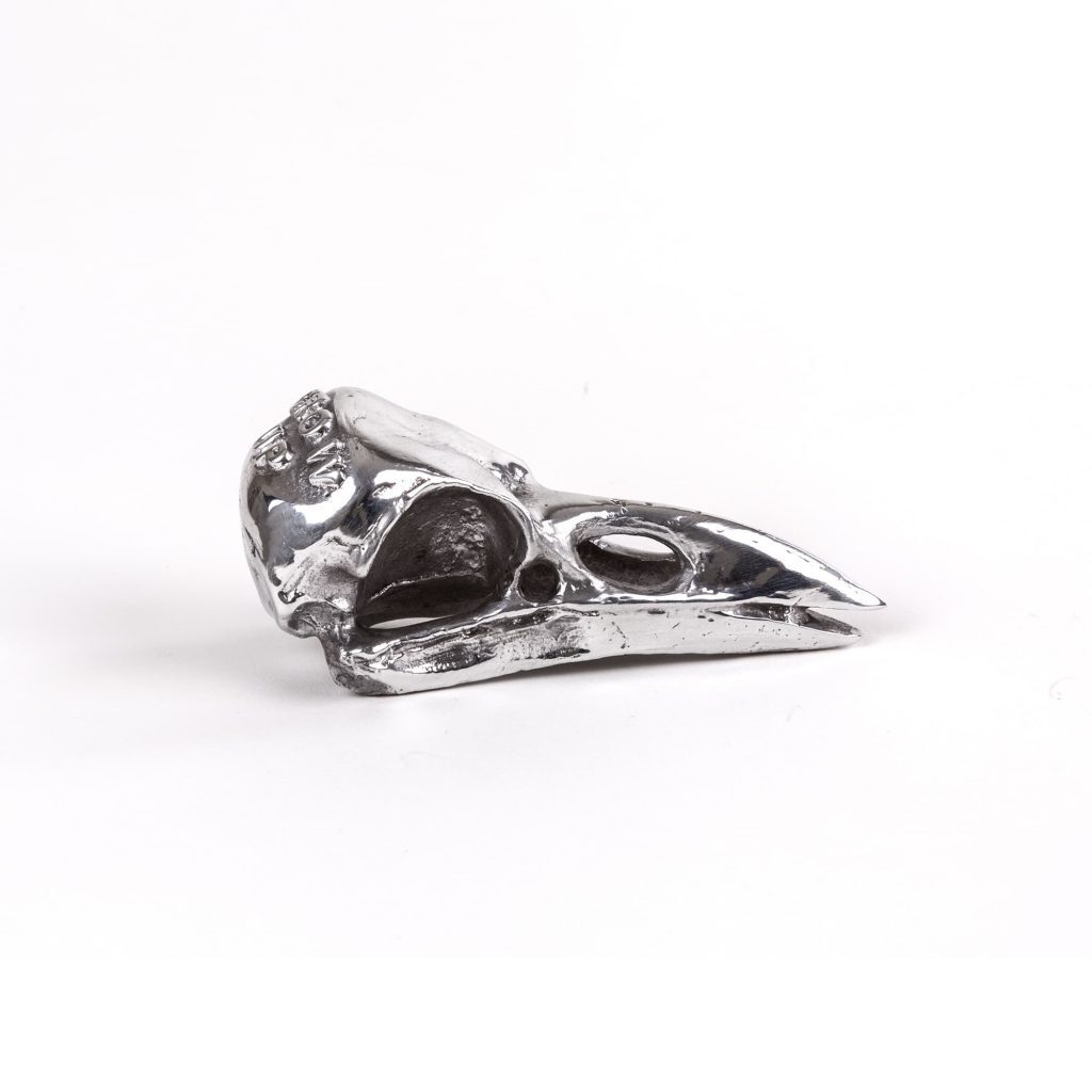 Статуэтка Seletti Wunderkammer Bird Skull 10895