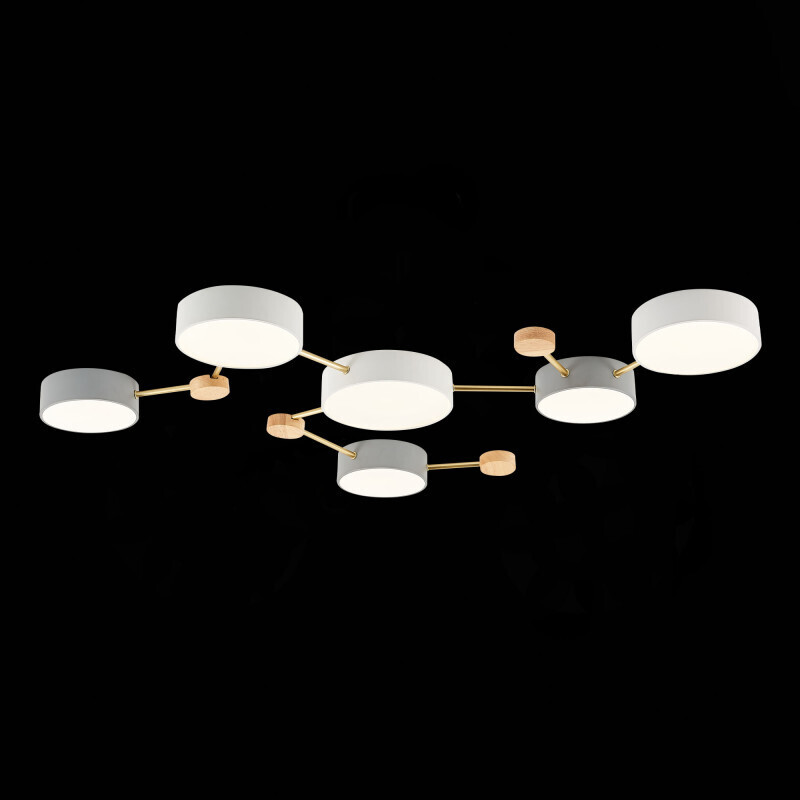 Накладной светильник Evoluce SLE600102-06