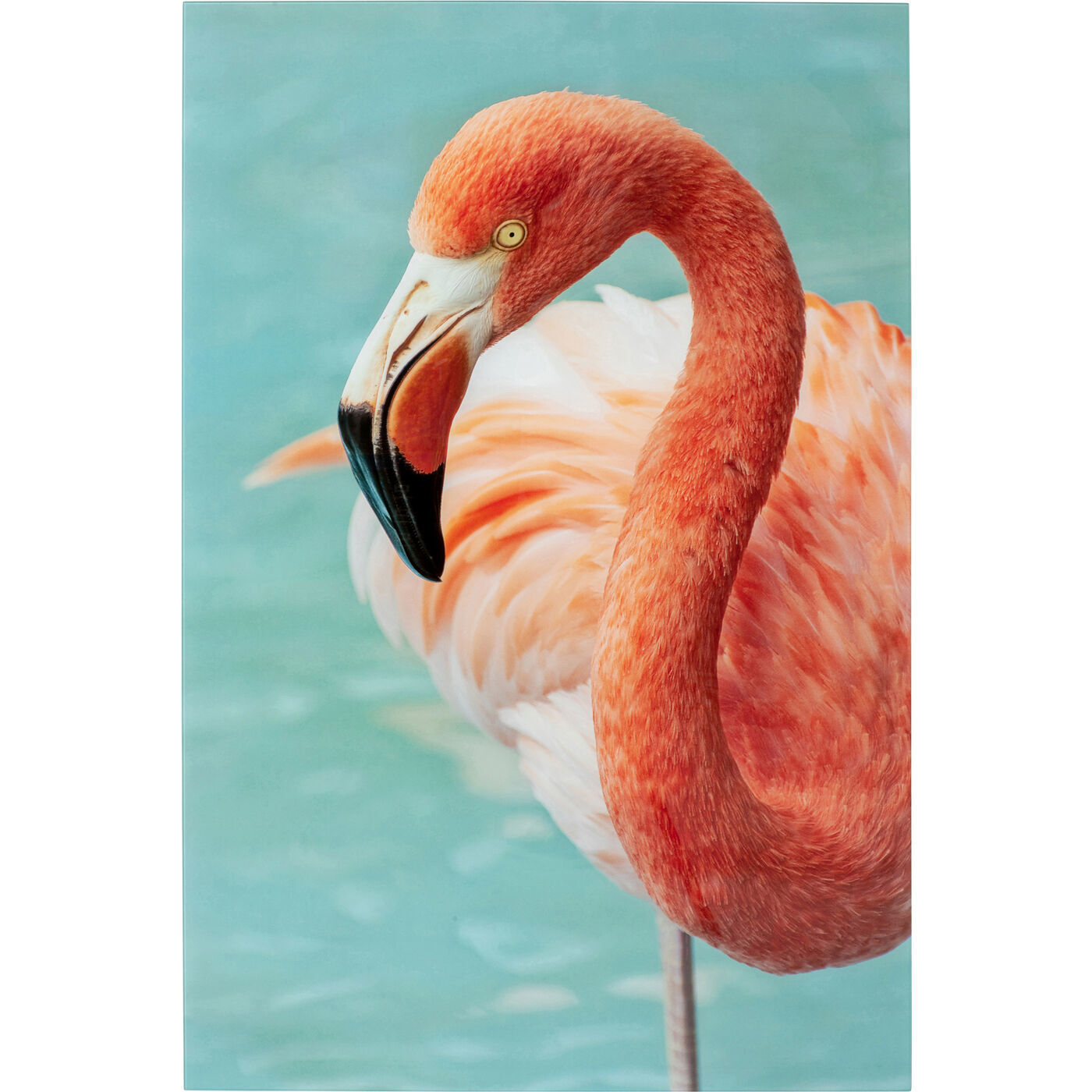 Картина Flamingo 53605 Kare