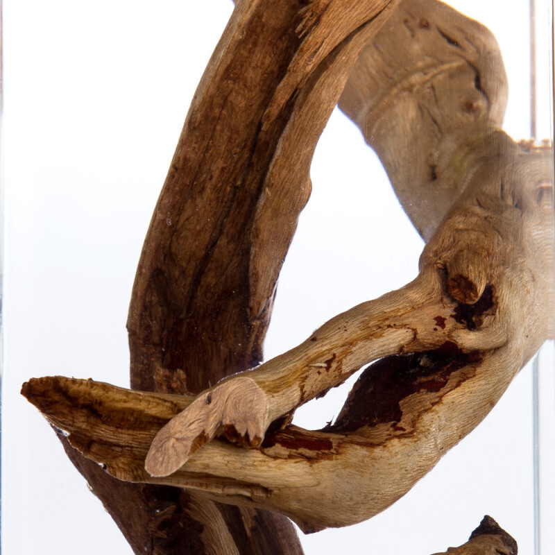 Подвесной светильник Divinare 3200/09 SP-1