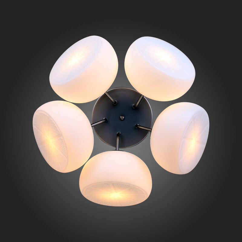 Накладная люстра ST Luce SL482.502.05
