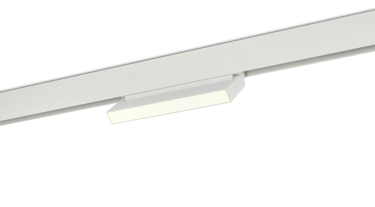 Светодиодный светильник Donolux DL20294WW12WND