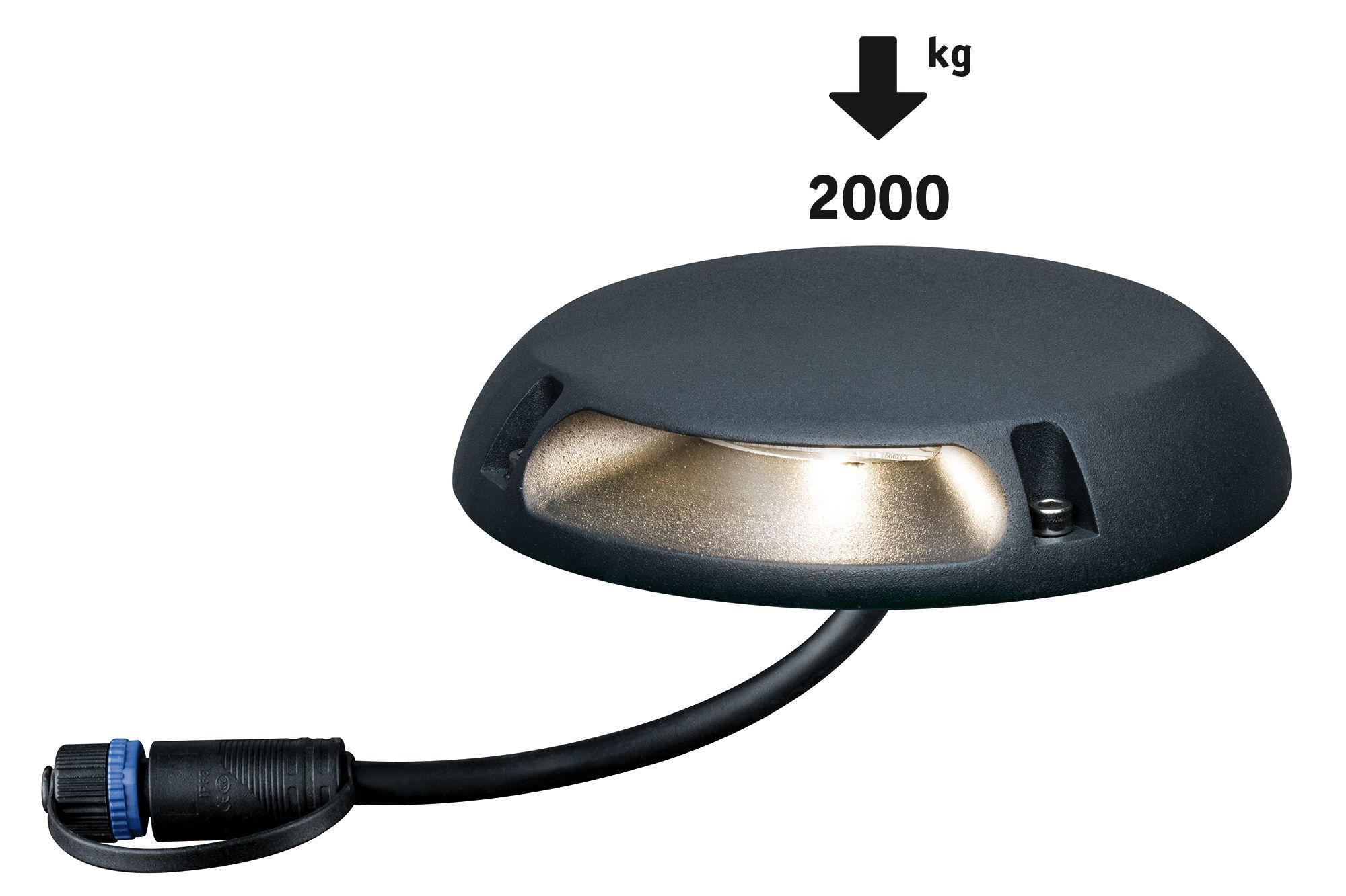 Уличный светильник Paulmann 93919