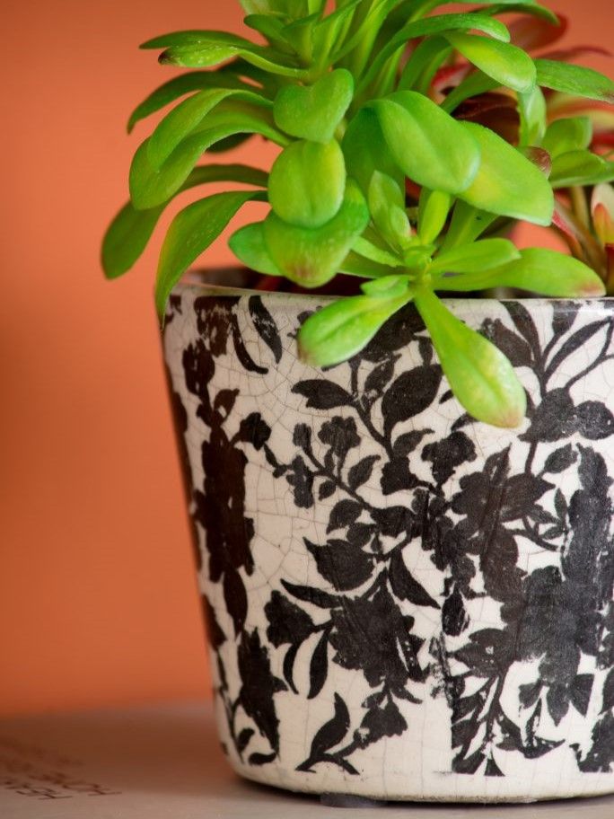 Кашпо, набор Glasar D2246