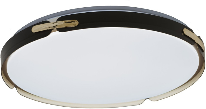 Потолочный светильник Lumina Deco LDC 8063-48W BK