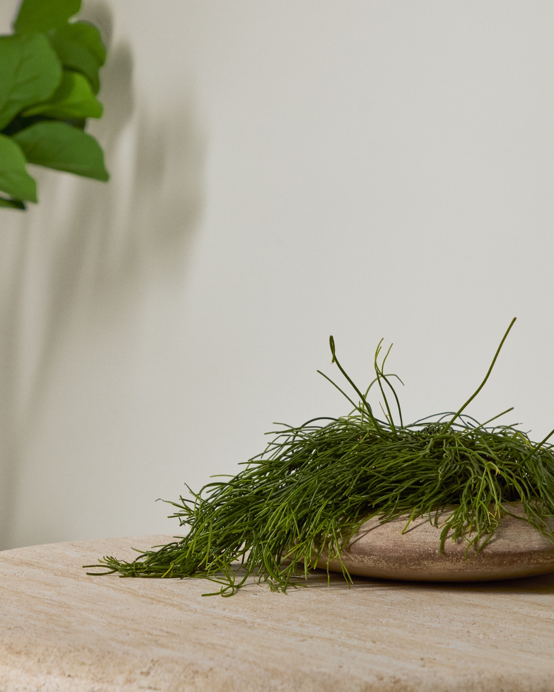 Кашпо Rivor из терракоты с натуральной отделкой Ø 50 см La Forma (ex Julia Grup)