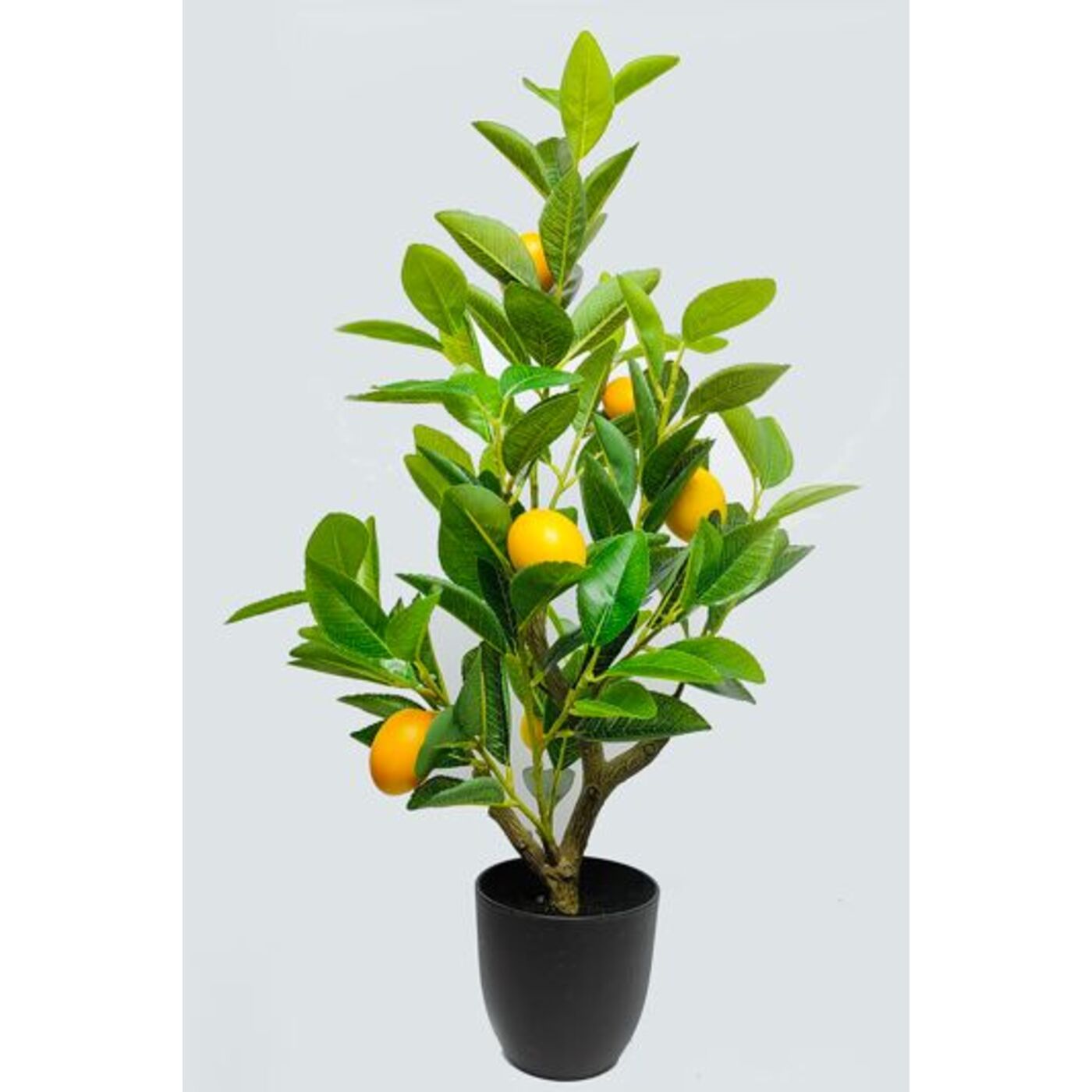 Растение декоративное Lemon Tree 60cm KARE 56764