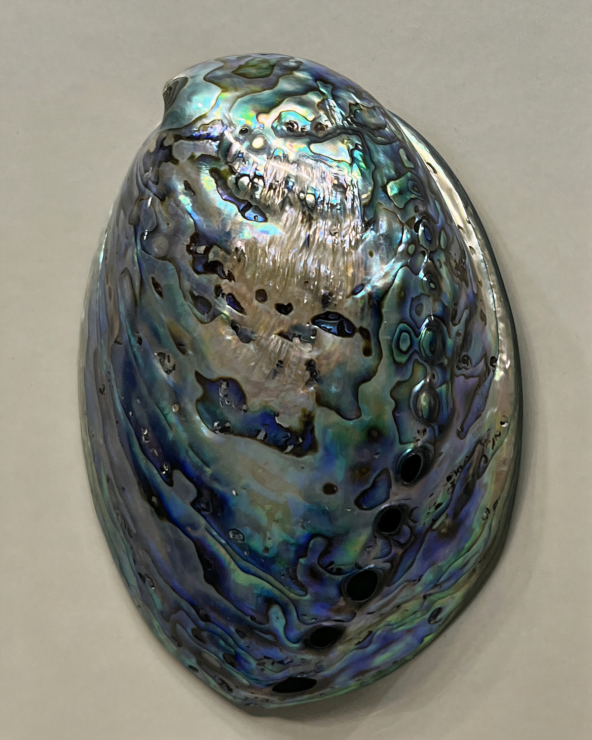 Интерьерное панно Абалон - II Louvre Home 21H0065