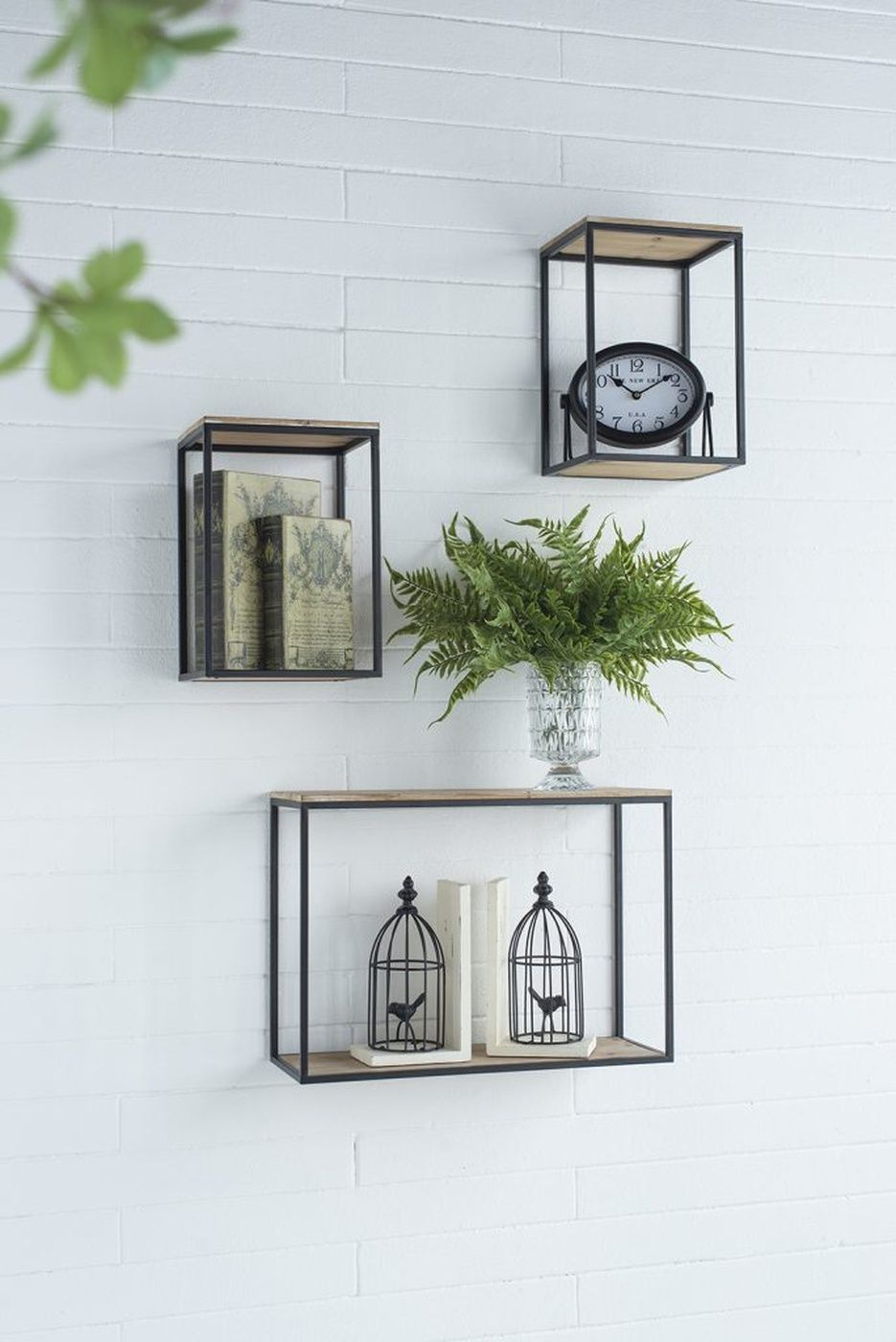 Растение декоративное Папоротник Glasar F8151