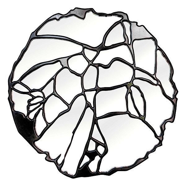 Зеркало BountyHome Roots Black mv412-black