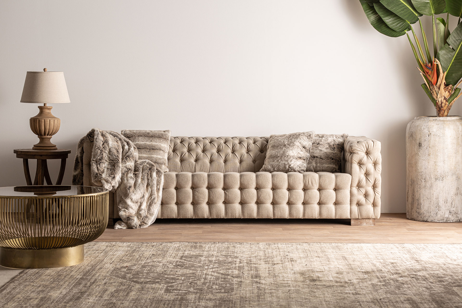 Растение PARADISE Vical