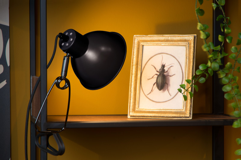 Настольная лампа LUCIDE 45987/01/30