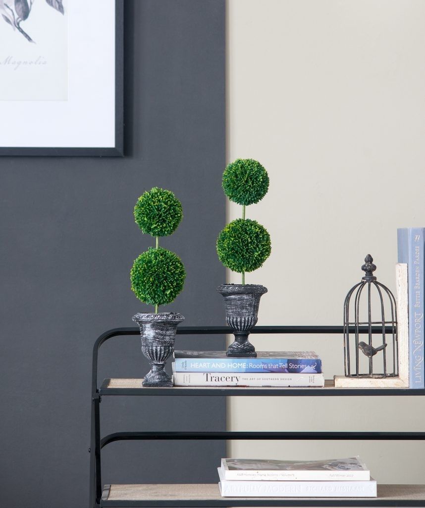 Растение декоративное Самшит двухярусный Glasar 29572-BLAC