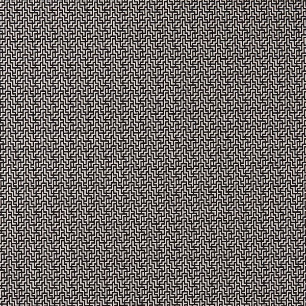 Текстиль Clarke & Clarke Black + White F0903/01