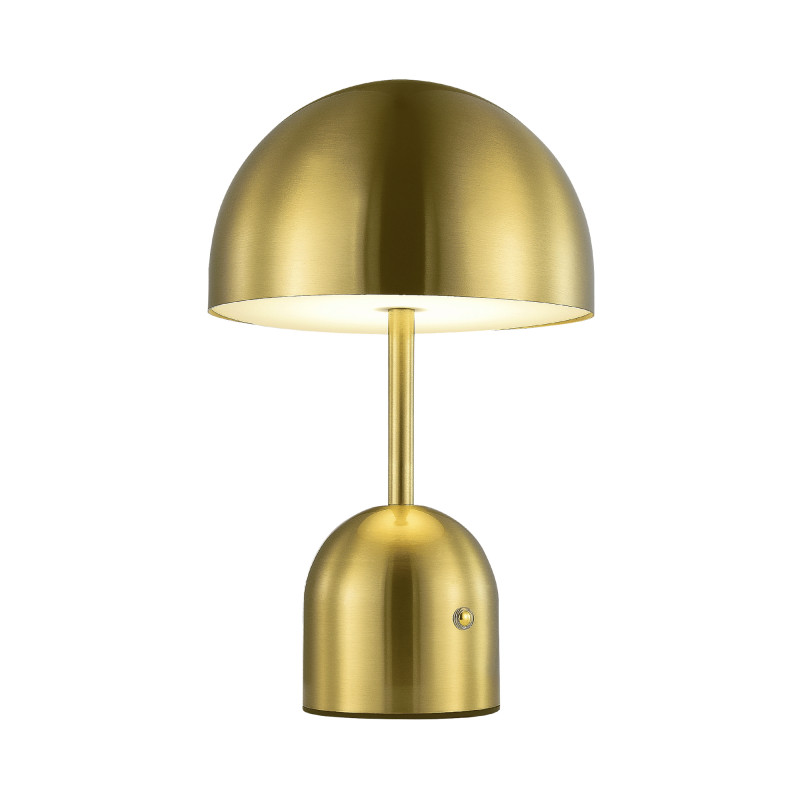 Настольная лампа Evoluce SLE1806-204-01