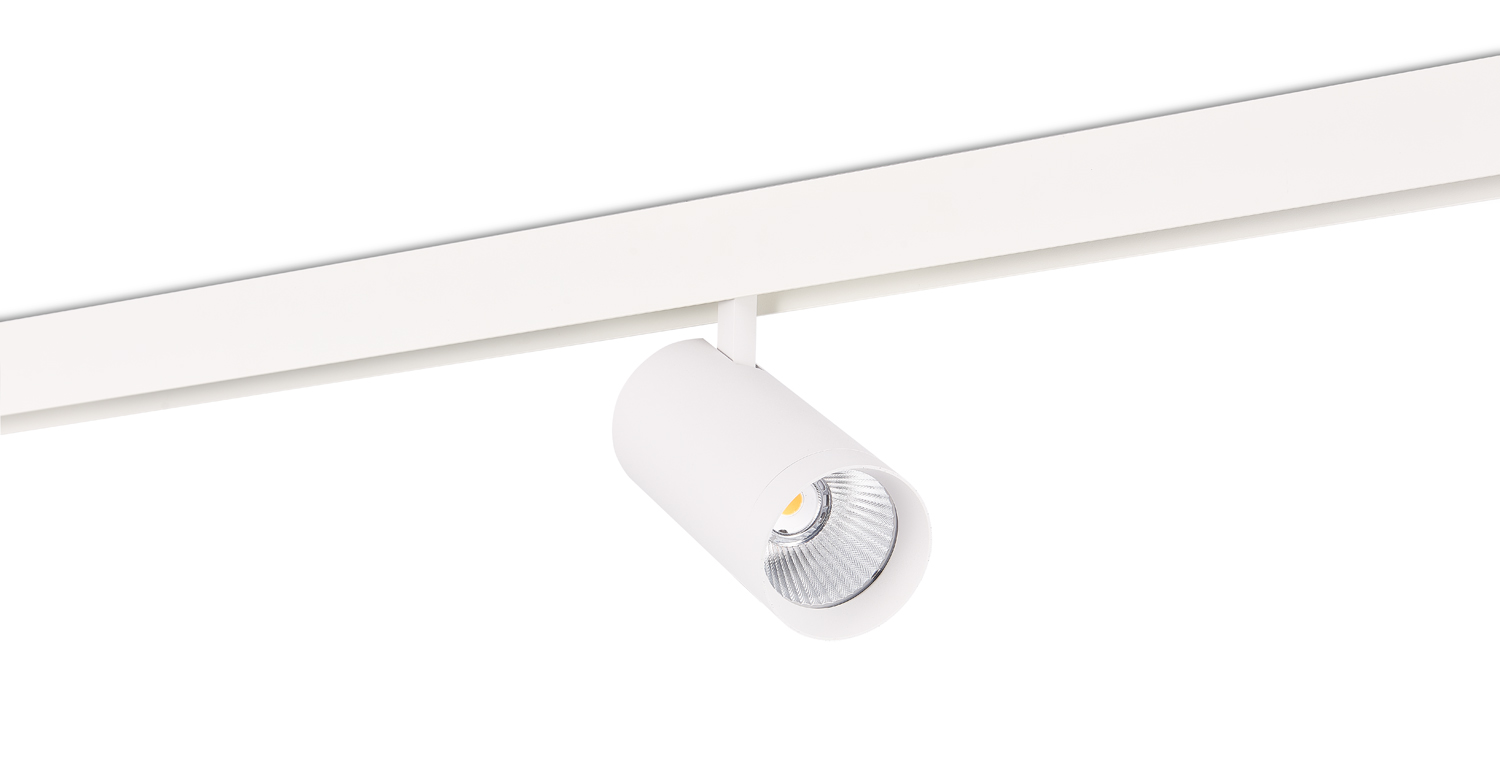 Светодиодный светильник Donolux DL20295TW30WTuya