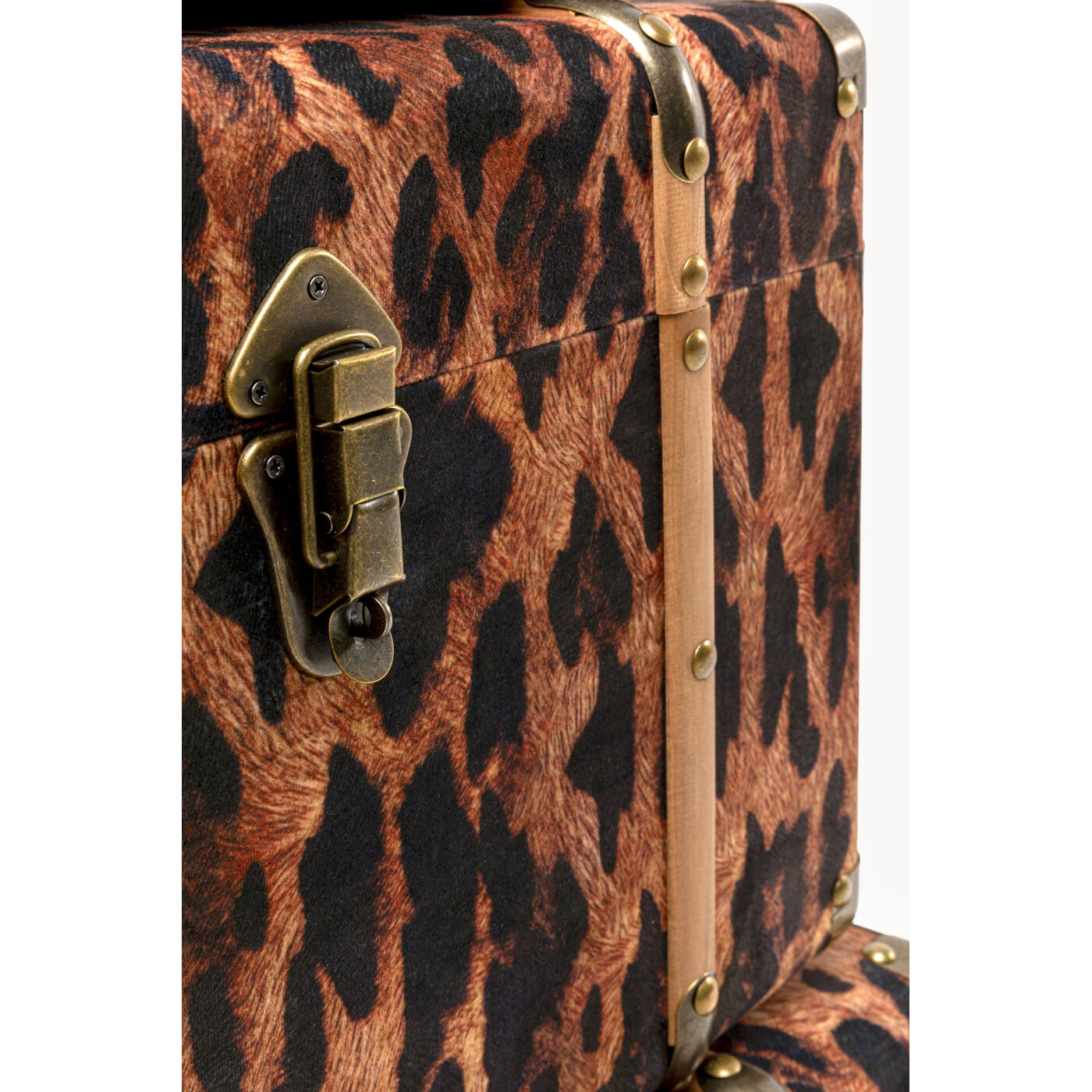 Шкатулка Wild Animal Leo (3/Set) KARE 71236