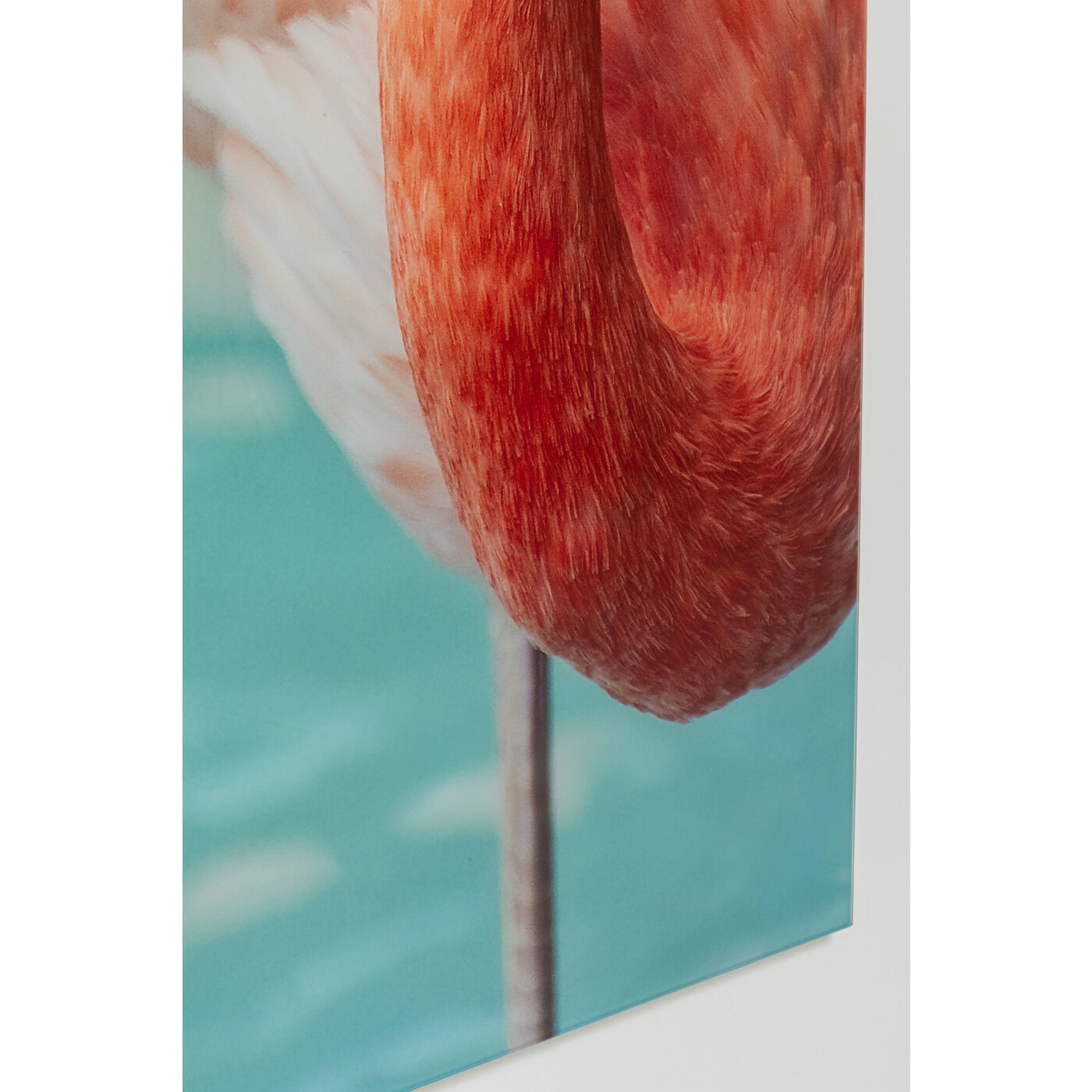 Картина Flamingo 53605 Kare