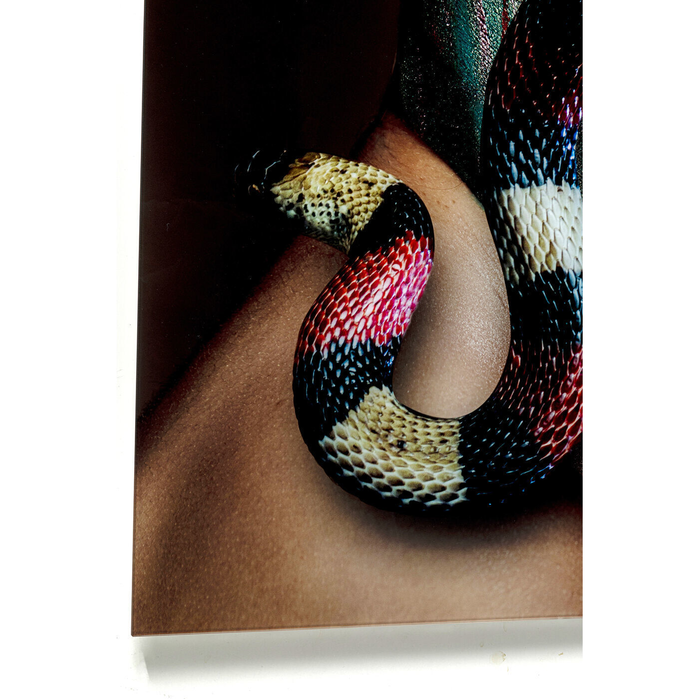 Картина Snake 53079 Kare