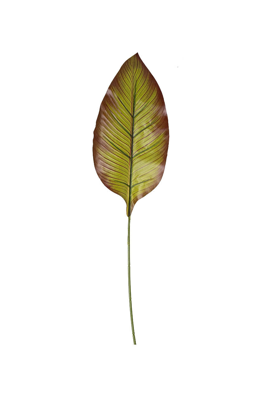 Лист канны Garda Decor 29BJ-797-50