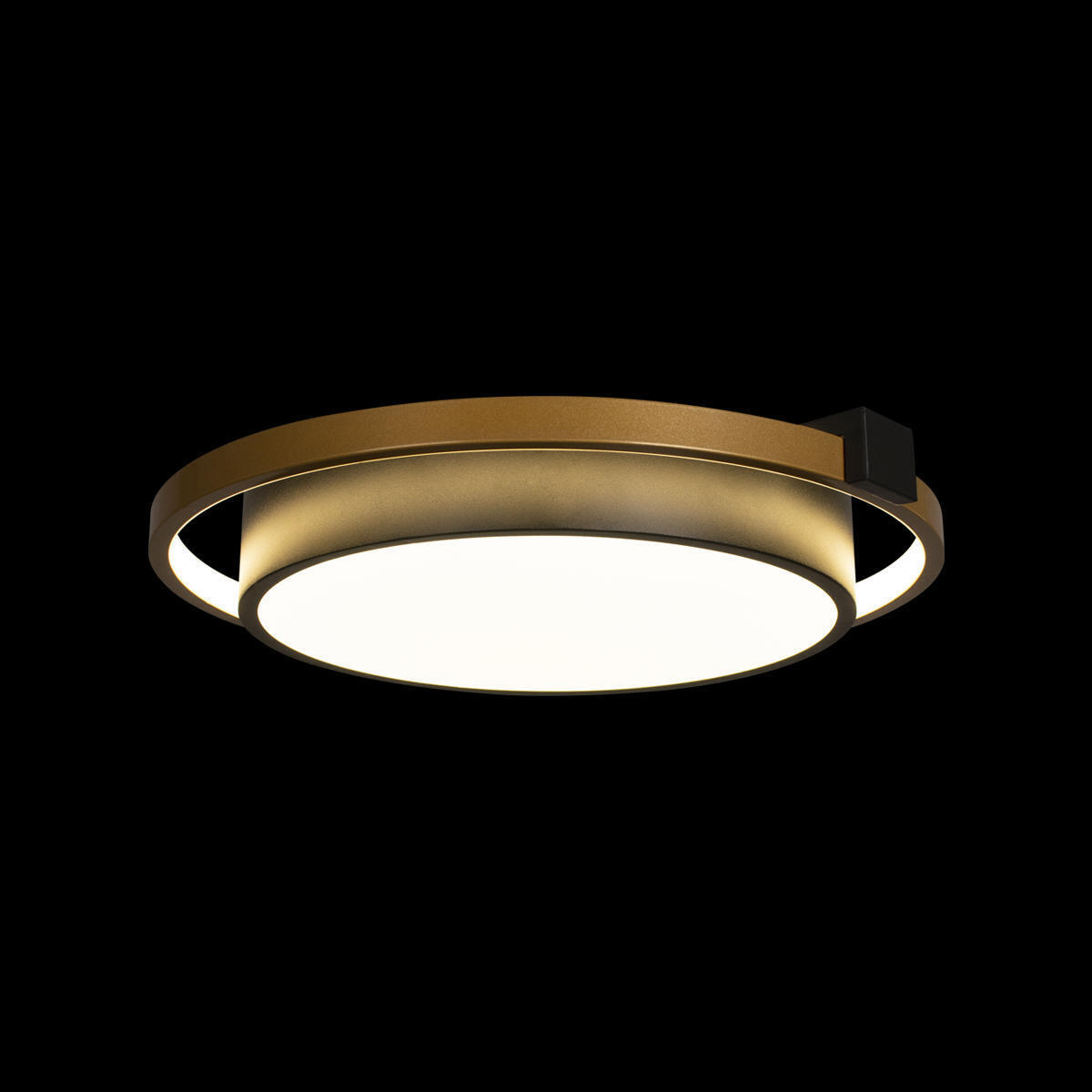 Потолочный светильник LOFT IT Mike 10169