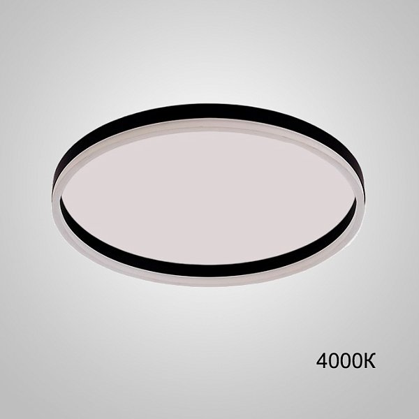 Потолочный светильник MONET D60 Black 4000К by ImperiumLoft